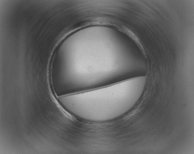 X0000073990803200608211040
