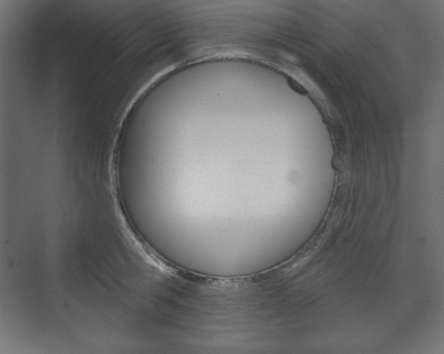 X0000073990806200608211040