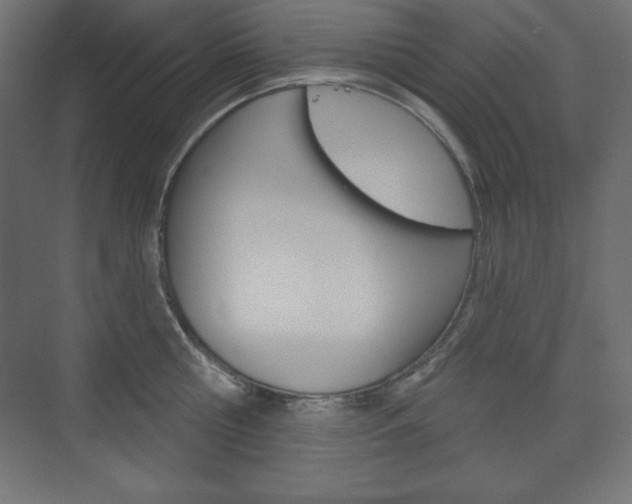 X0000073990810200608211040