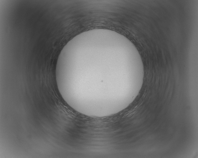 X0000073990818200608211039
