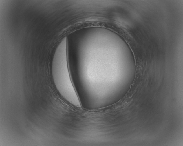 X0000073990821200608211039