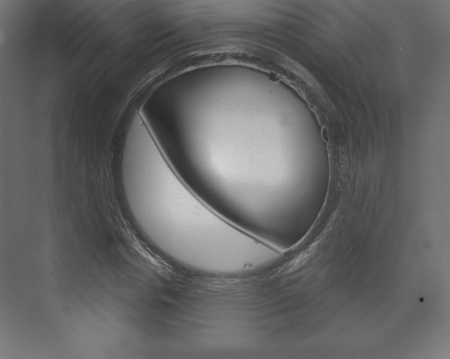 X0000073990826200608211039