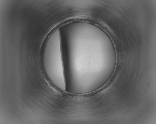 X0000073990829200608211039