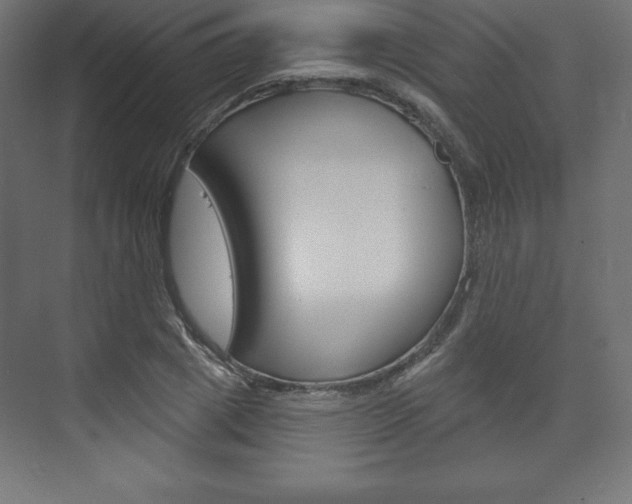 X0000073990833200608211040