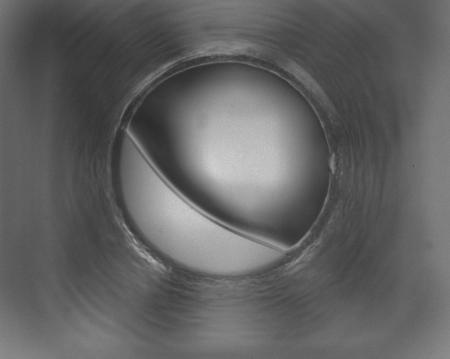 X0000073990834200608211040