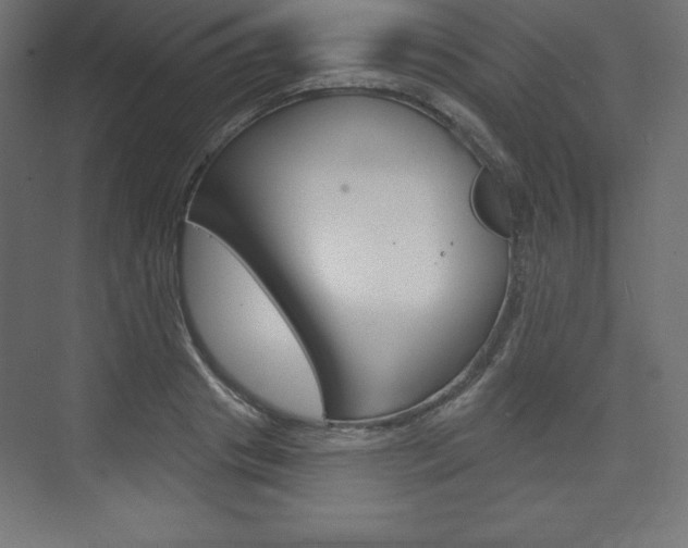X0000073990841200608211040