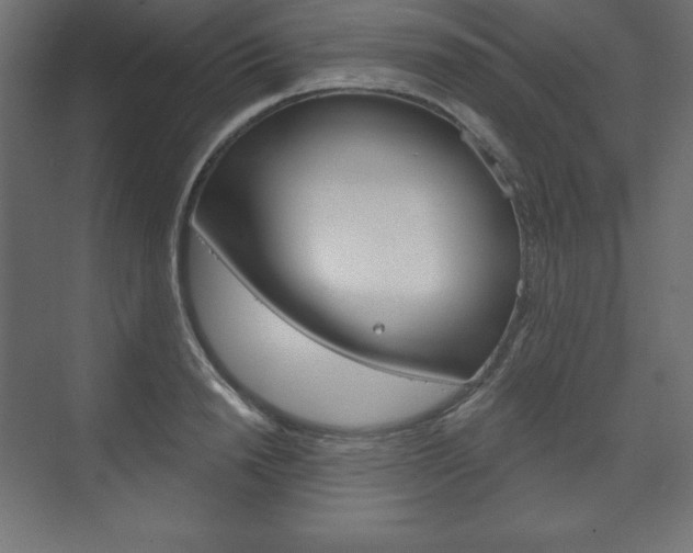 X0000073990846200608211040