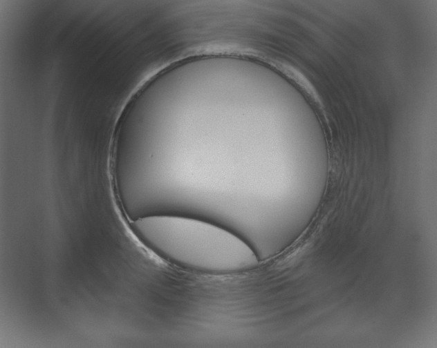 X0000073990847200608211040