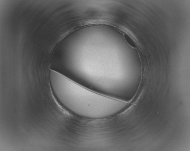X0000073990849200608211040