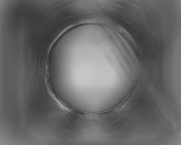 X0000073990852200608211040