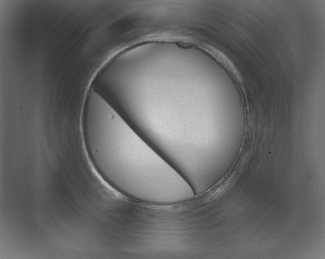 X0000073990855200608211040