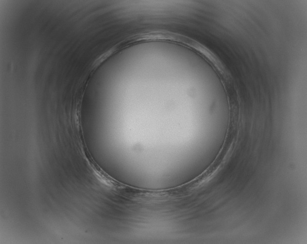 X0000073990857200608211040