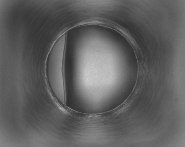 X0000073990858200608211040