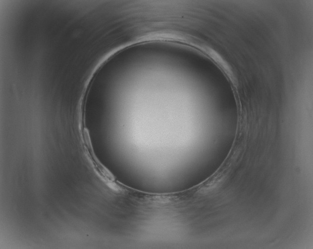 X0000073990862200608211040