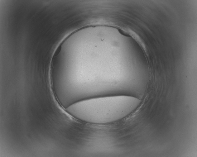 X0000073990863200608211040