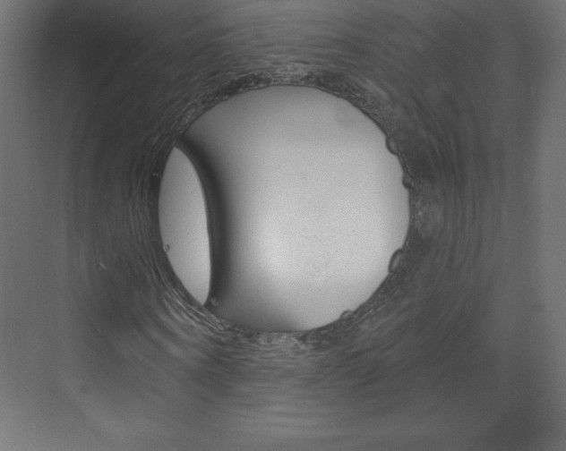X0000073990866200608211039
