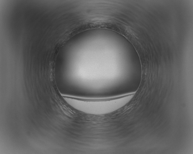 X0000073990868200608211039