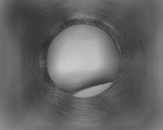 X0000073990869200608211039