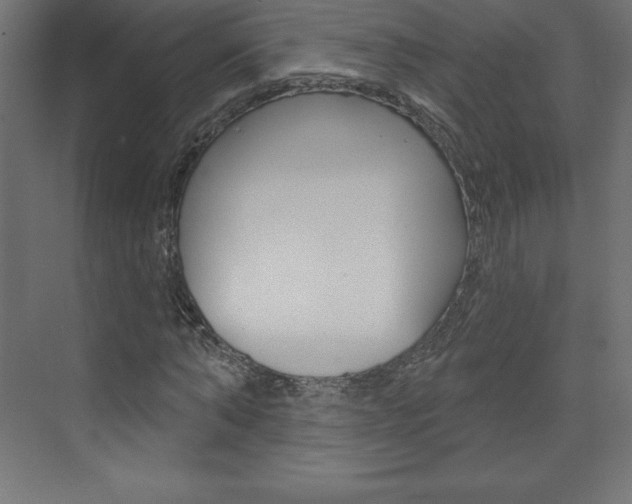 X0000073990870200608211039