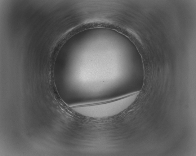 X0000073990872200608211039