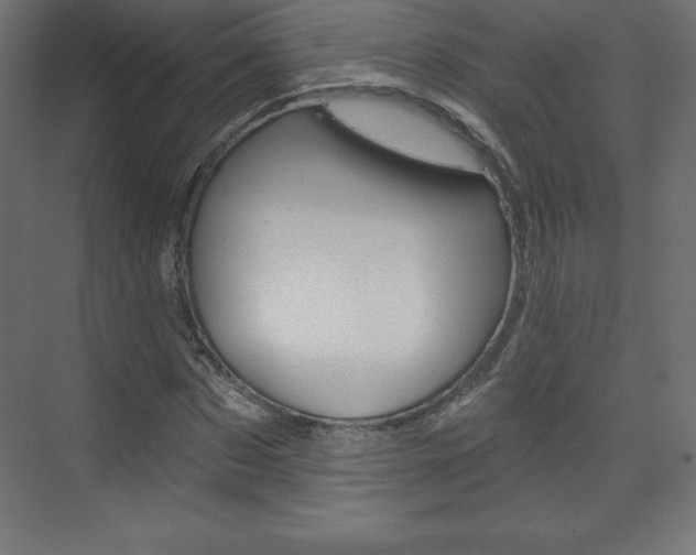 X0000073990873200608211039