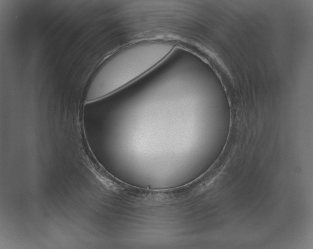 X0000073990881200608211039
