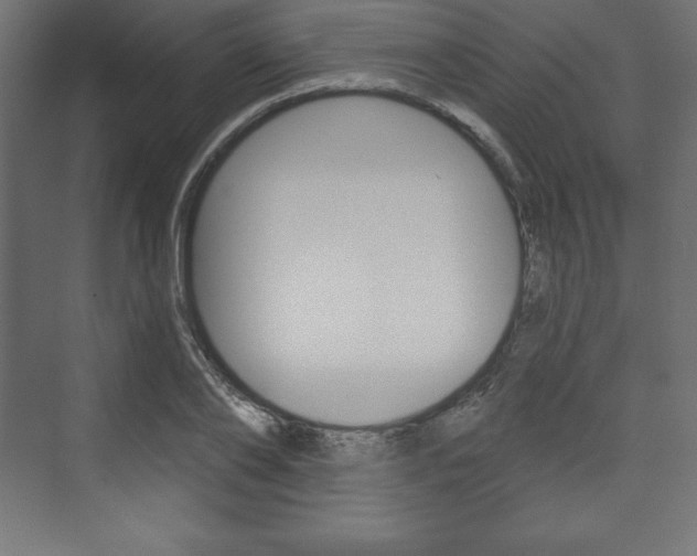 X0000073990886200608211039