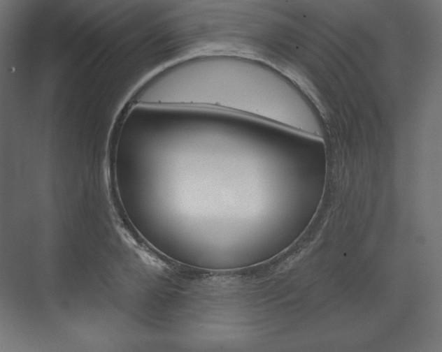 X0000073990888200608211039