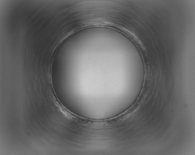 X0000073990889200608211039