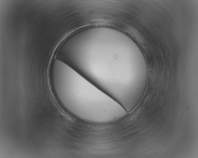 X0000073990891200608211039