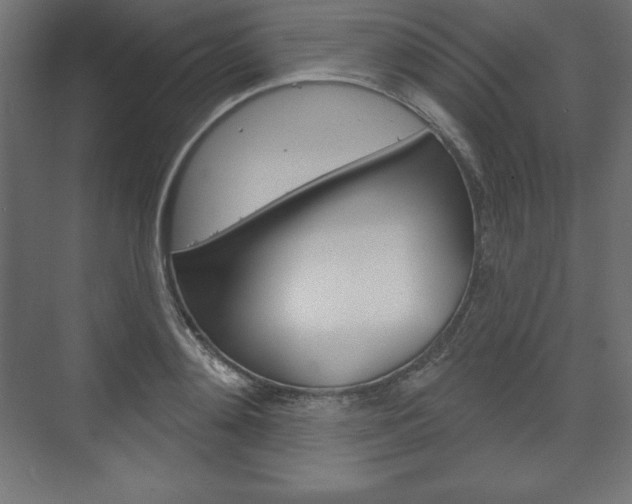 X0000073990892200608211039