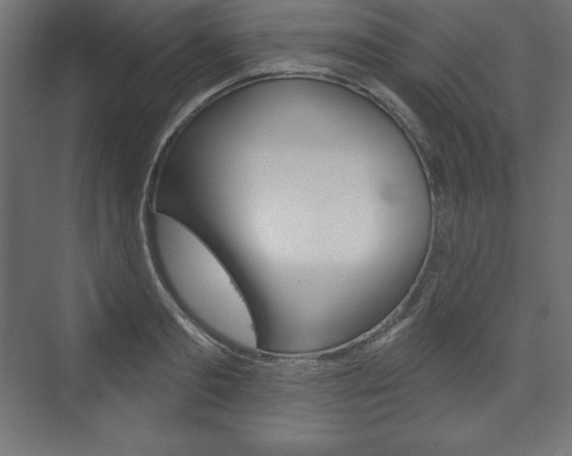 X0000073990893200608211039