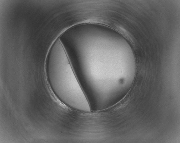 X0000073990900200608211039