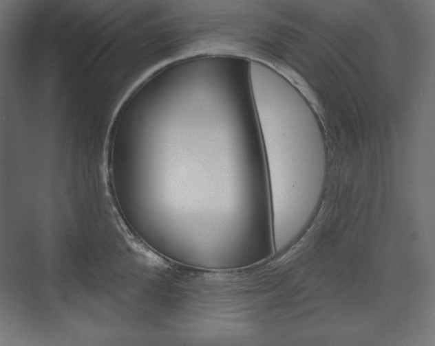 X0000073990904200608211039