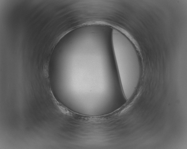 X0000073990905200608211039