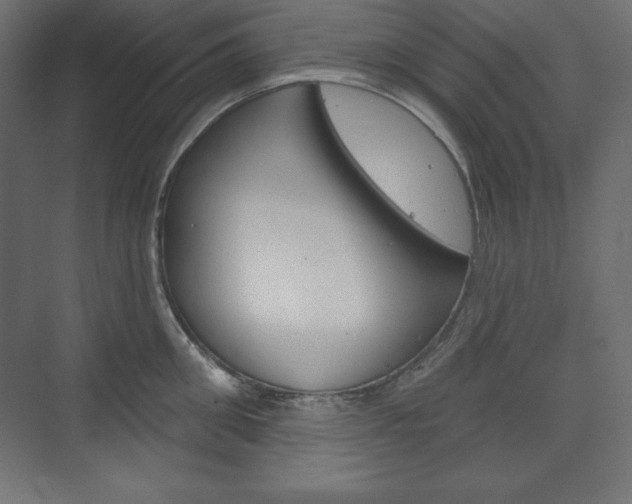 X0000073990906200608211039