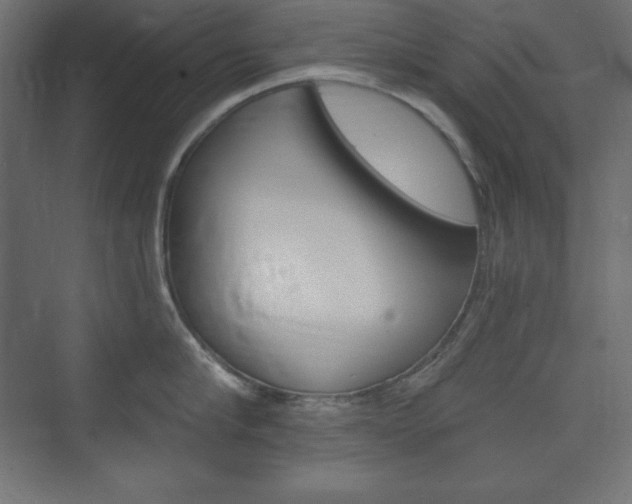X0000073990910200608211039