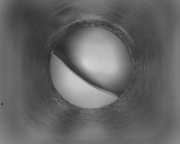 X0000073990919200608211038
