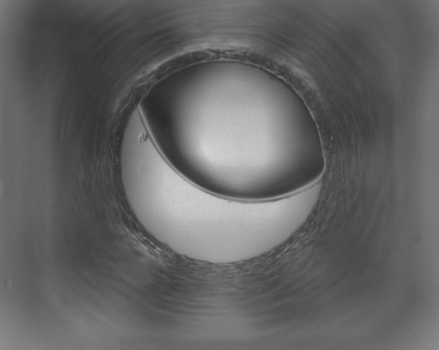 X0000073990920200608211038
