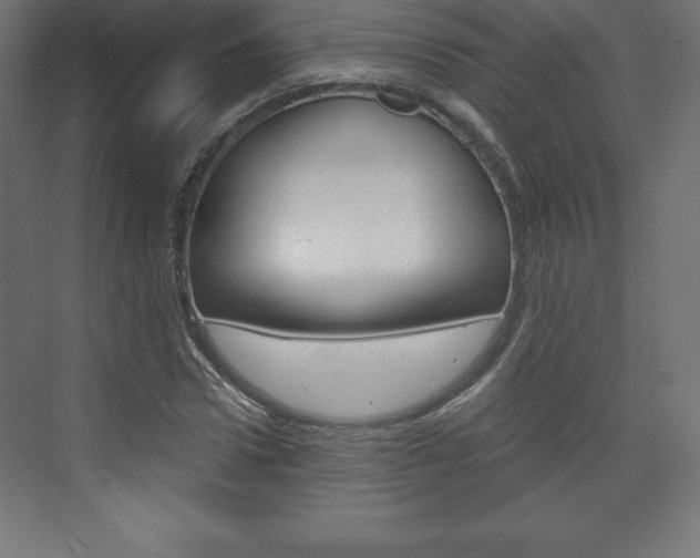 X0000073990922200608211038