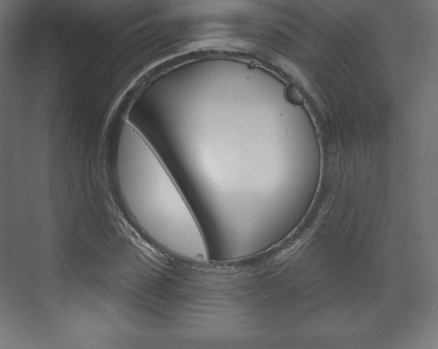 X0000073990923200608211038