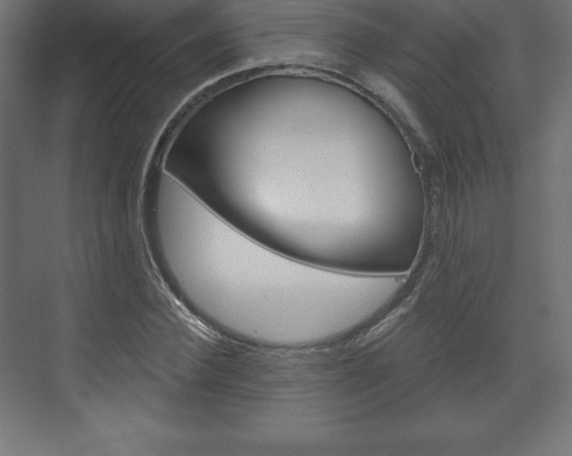 X0000073990924200608211038