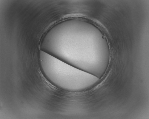 X0000073990929200608211038