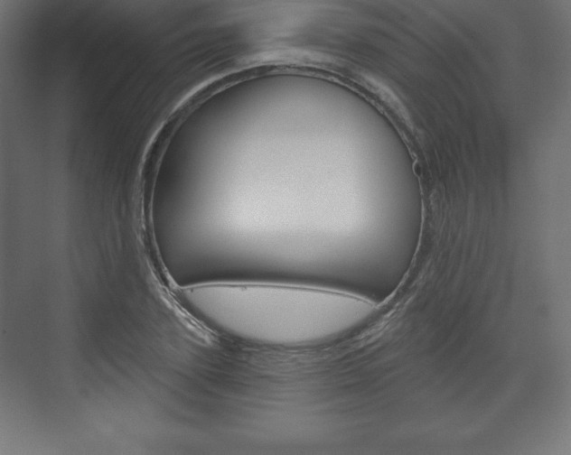 X0000073990931200608211038