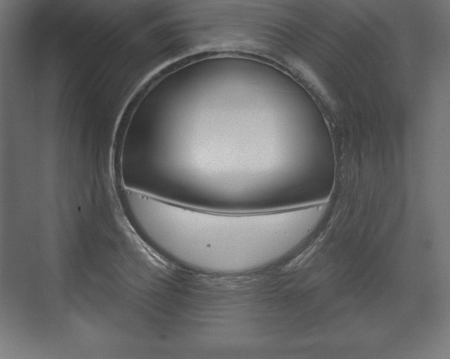 X0000073990932200608211038