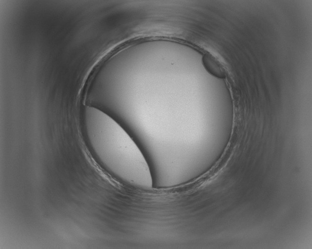 X0000073990933200608211038