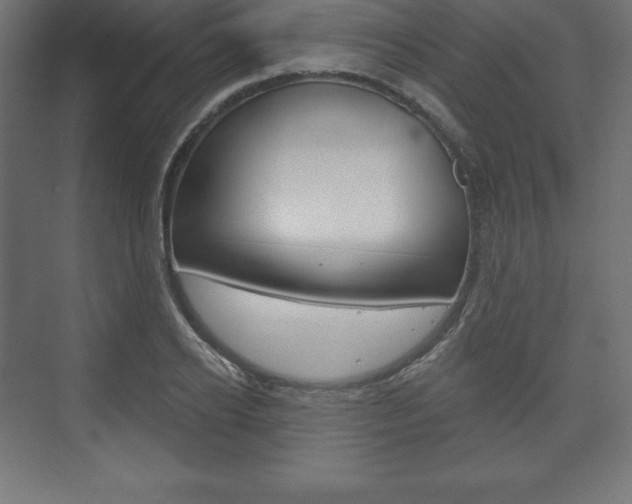 X0000073990934200608211038