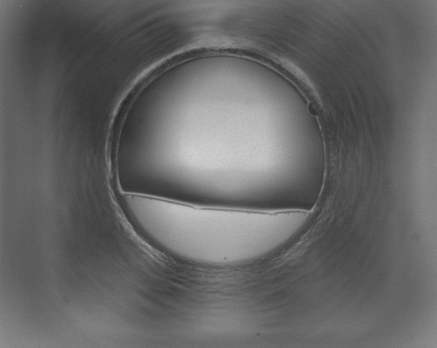 X0000073990935200608211038