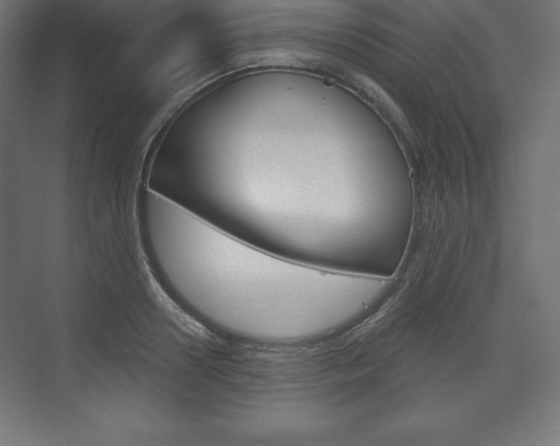 X0000073990938200608211038