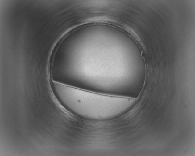 X0000073990939200608211038